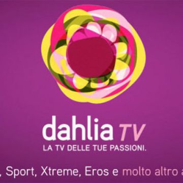 Η ιταλική Dahlia TV σε διαδικασία εκκαθάρισης