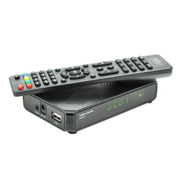 GOLDEN INTERSTAR ALPHA X