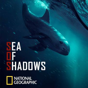 "Sea of Shadows", το νέο ντοκιμαντέρ του National Geographic σε παραγωγή του Leonardo DiCaprio