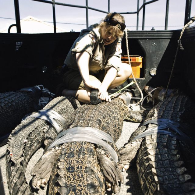 Δείτε σήμερα σε National Geographic και National Geographic Wild