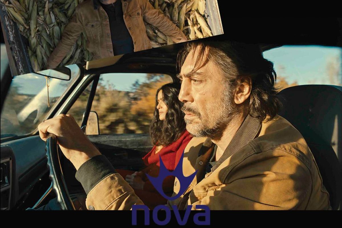 22649f4acefb019a1545428344a26b86 XL 0130aa65