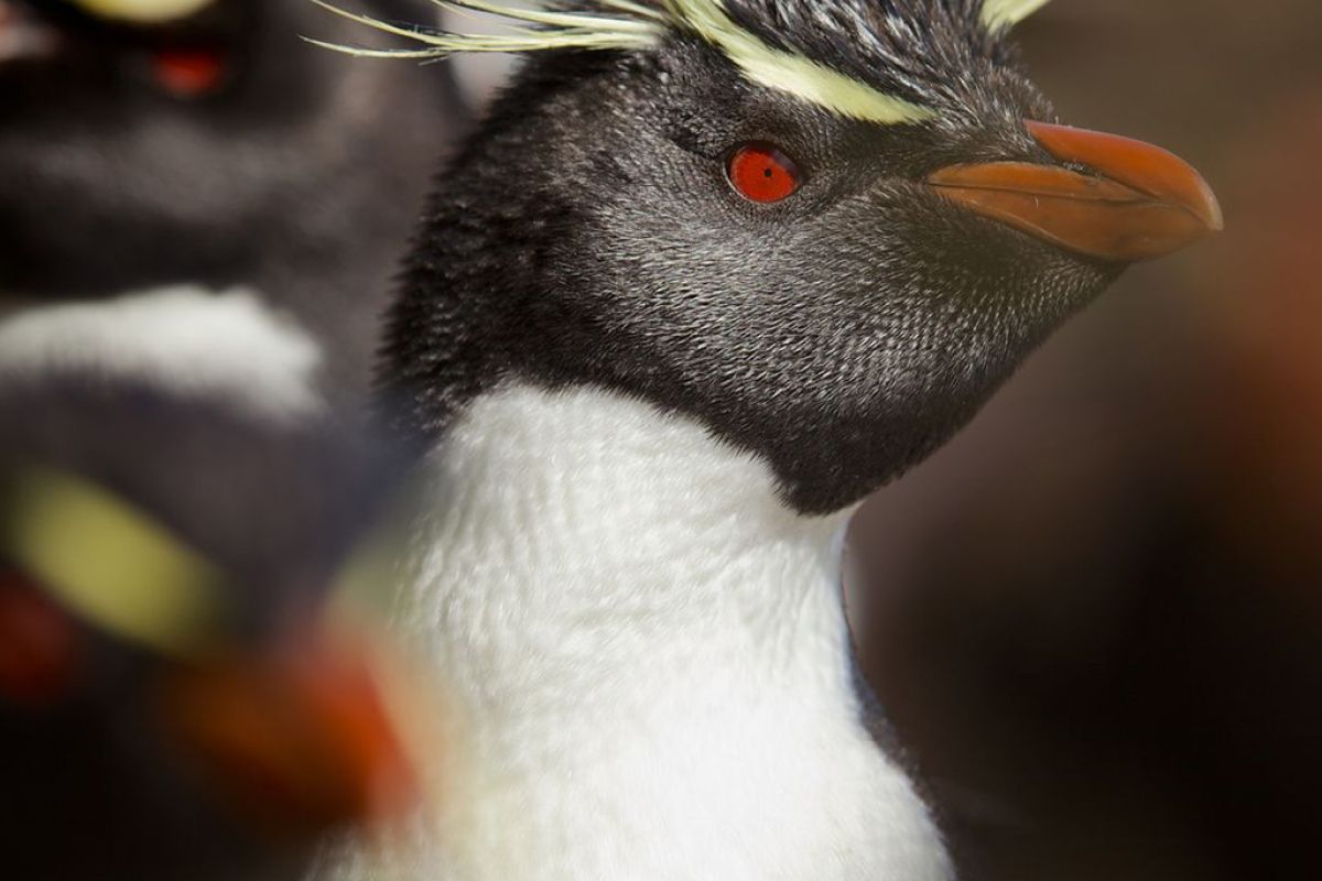 Untitled 1 177 01432b94