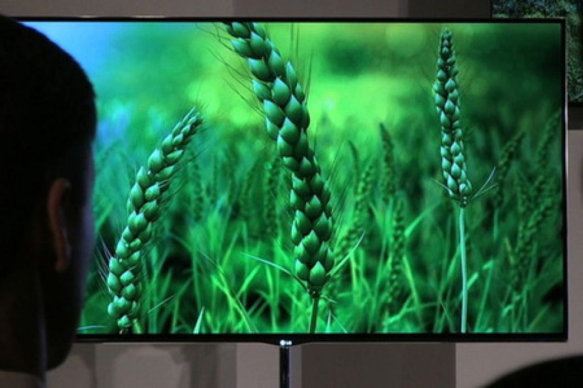 fde415699381776e109824569e233fb5 XL 0137f8a4