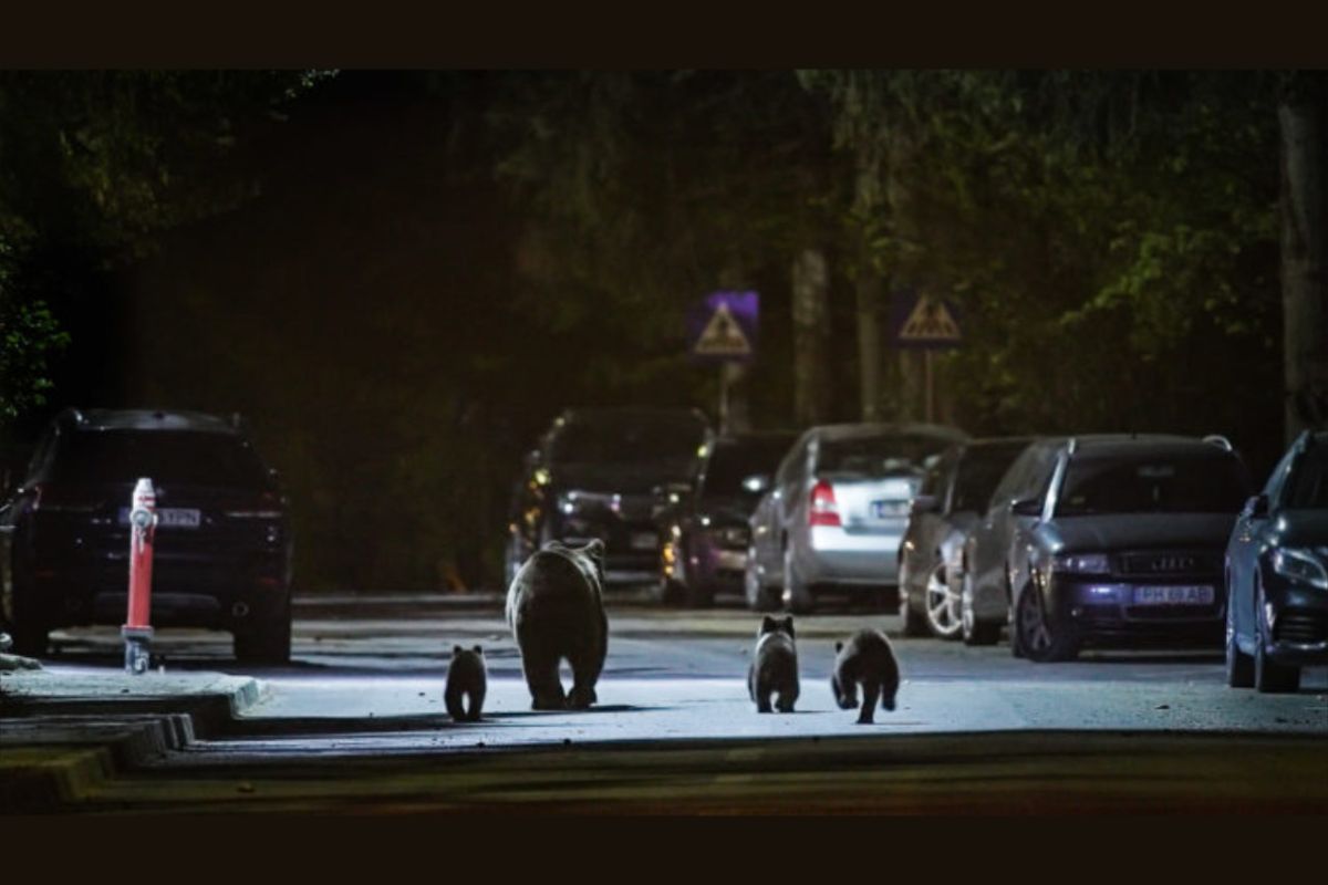 1280 square 76 02c559be