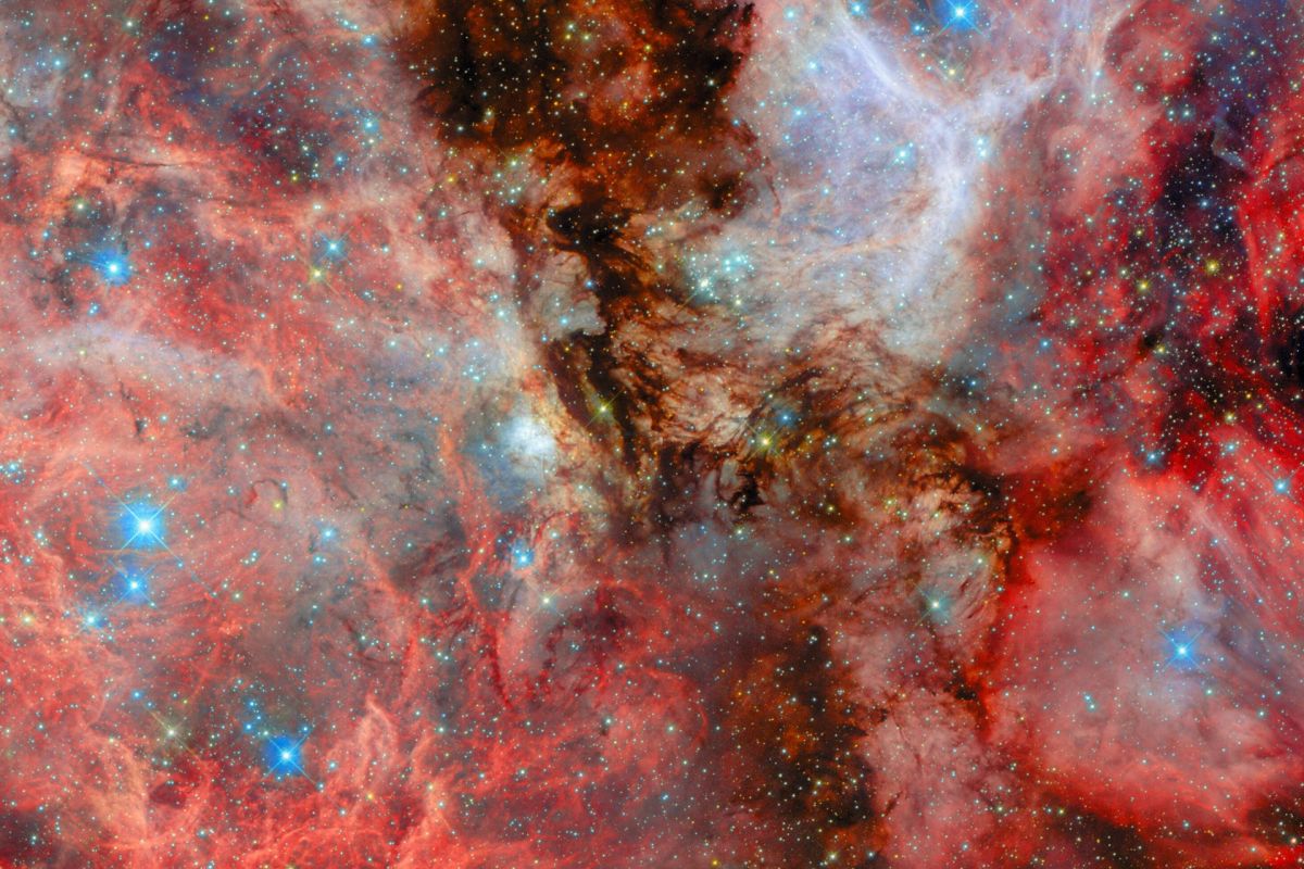 moriakonefosN159 047d4b2b