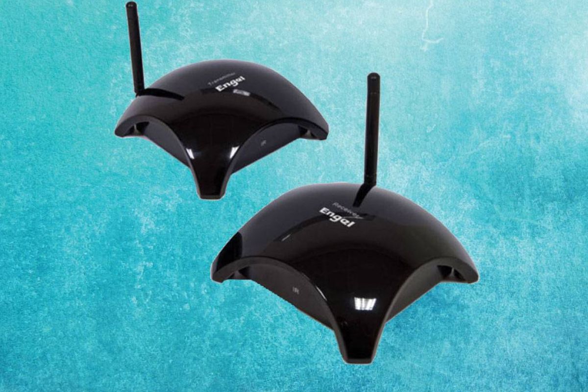 b1ee6154fc0e9dbc5bb47ca7c492d462 XL 05d17558