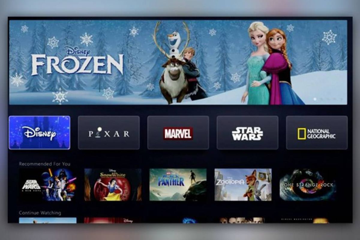 efee1f55d85874a51a061572f6434d15 XL 05d697e5