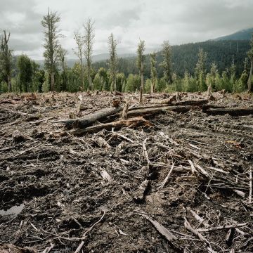 «Κλιματική αλλαγή: Πέντε κίνδυνοι» Σειρά ντοκιμαντέρ