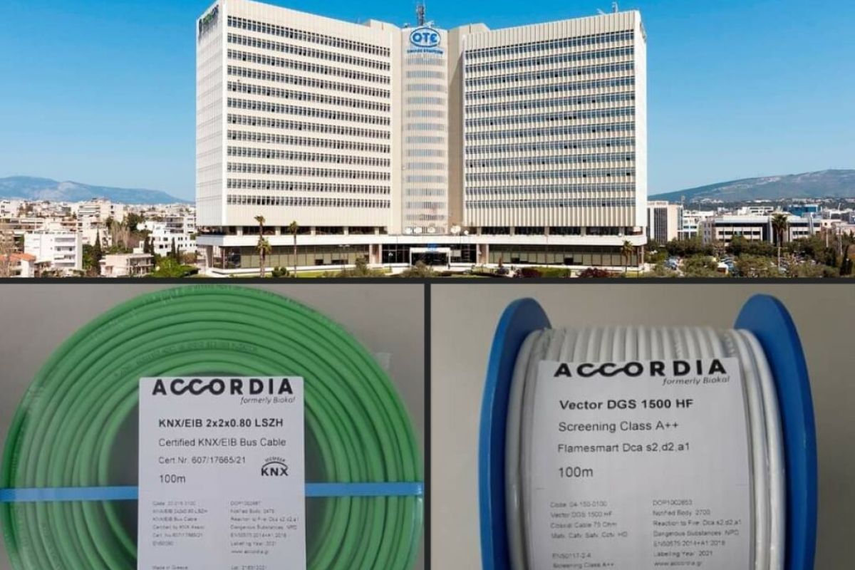 2a 2 1024x1012 1 070974f6