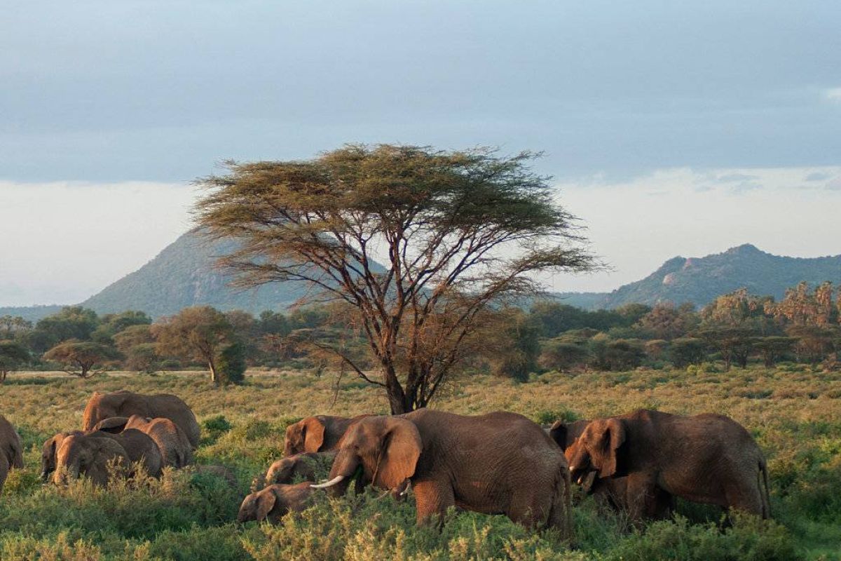 508721fecf6a6e575930470a525380a1 XL 07ca28ec