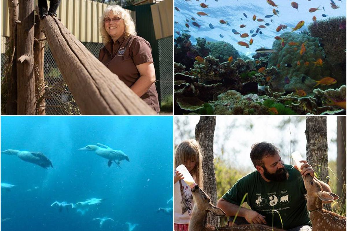 7650f7312b833cb47384bed989bc0843 XL 07c467c9