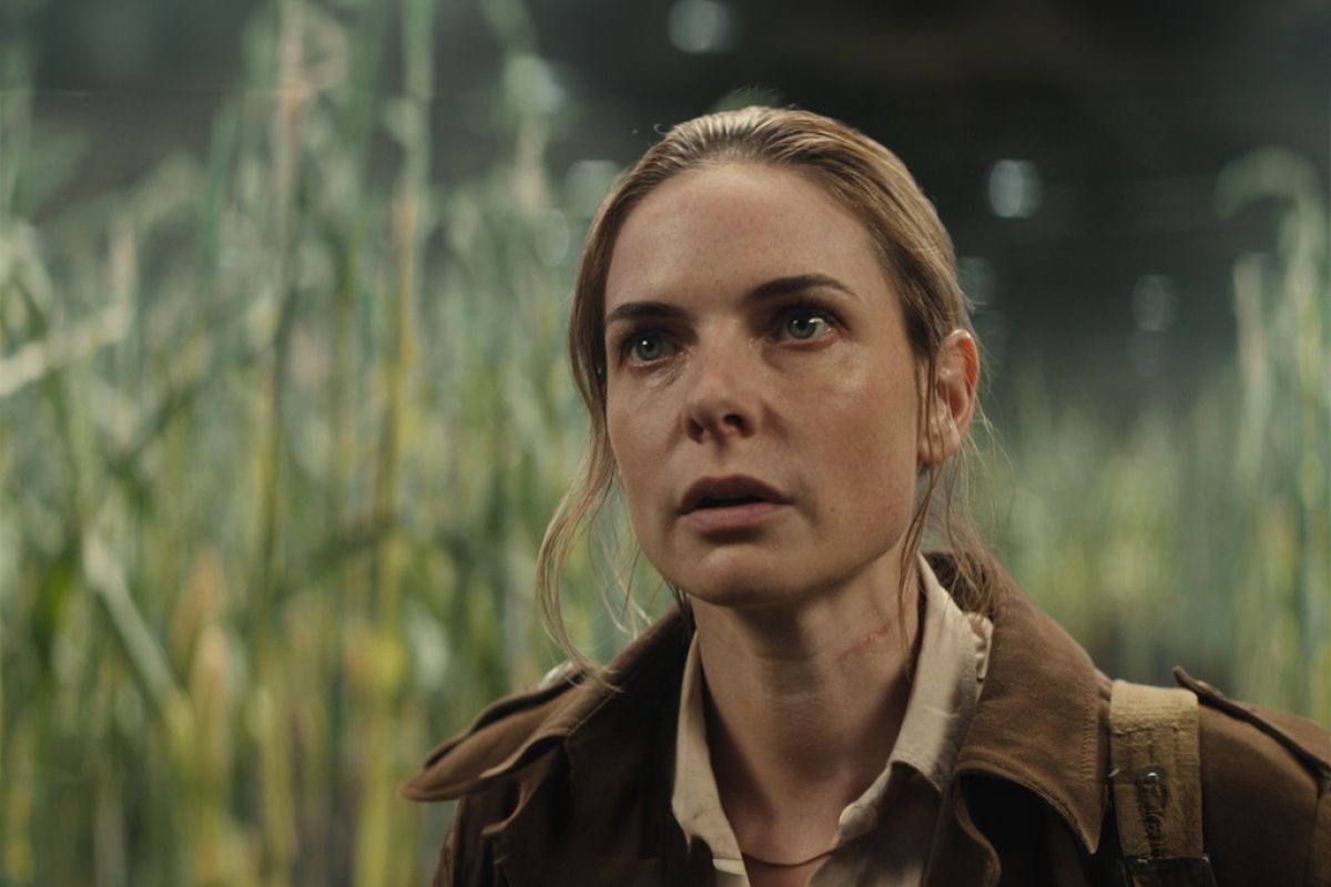 Untitled 1 155 07b1181d