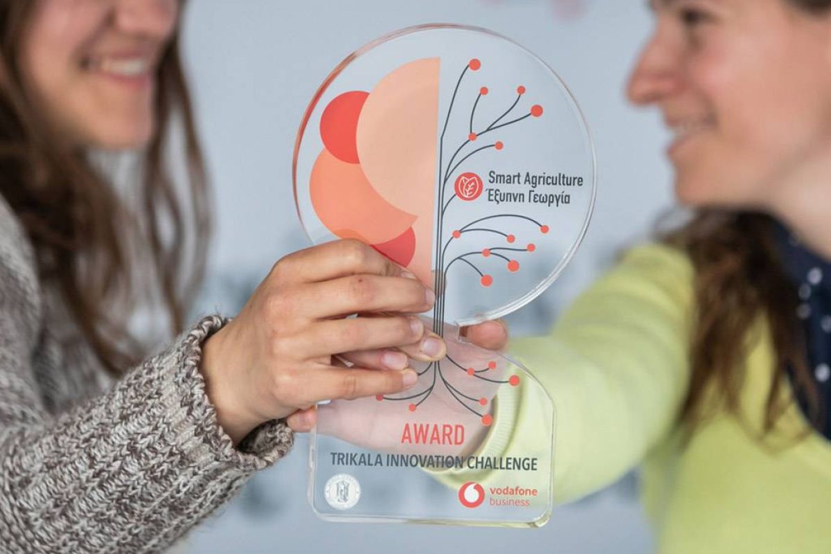 f00bc8f12fa958f4da8528891fd88446 XL 079aeabf