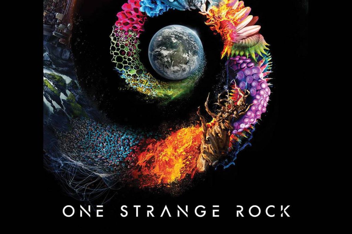 b6ed6712c91e9b9ec2626ca9a02e0de2 XL 08d9cf42