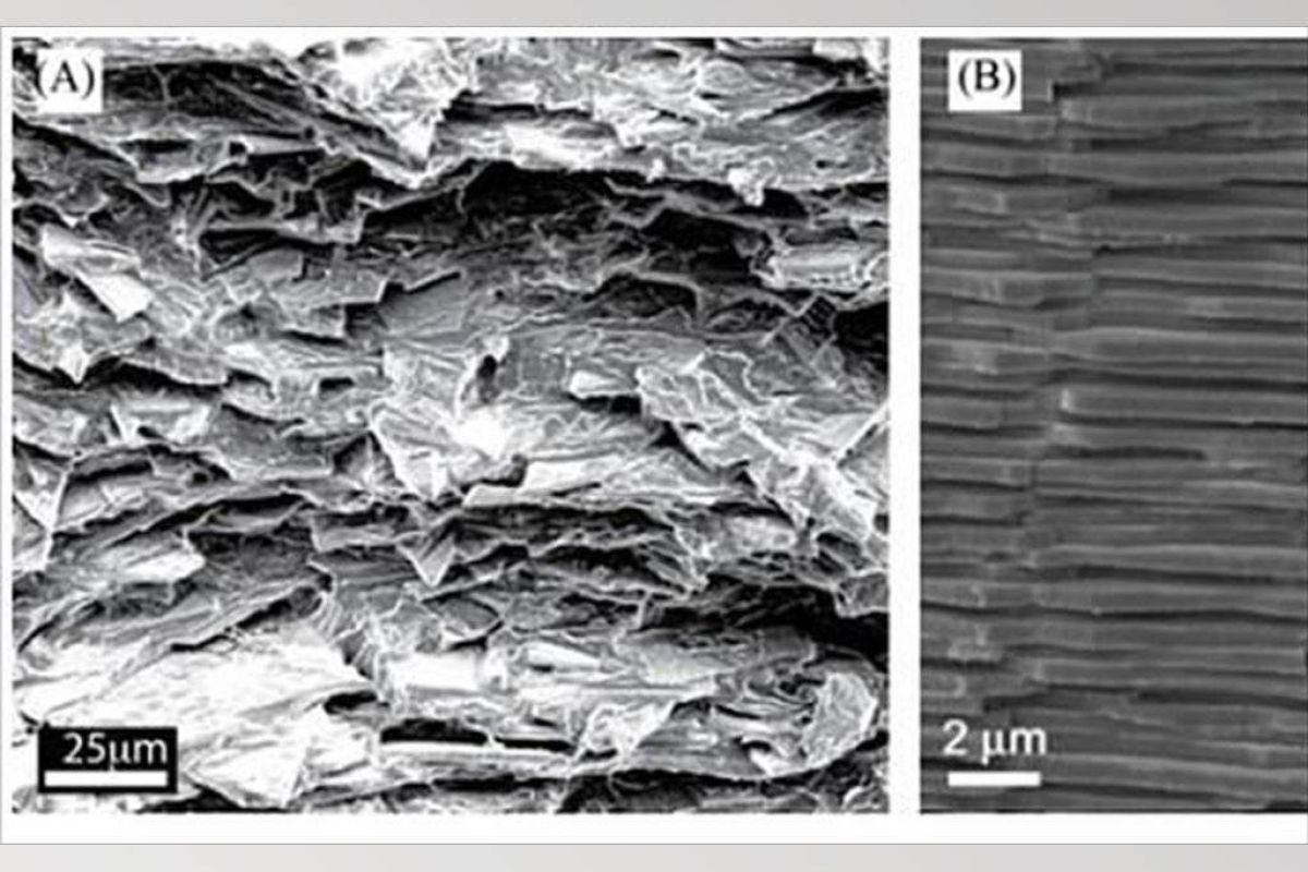 e9177ce639eb4f3dc4b38fbe60ce9608 XL 086ccaa1