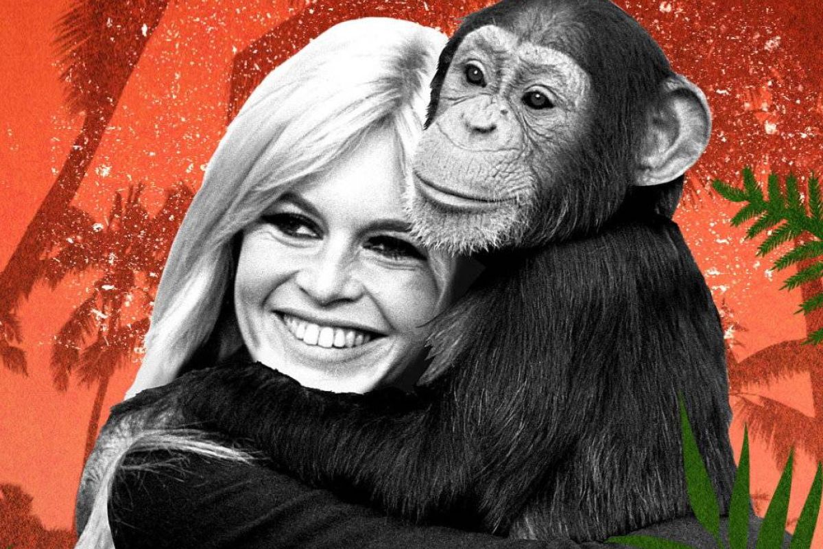 9105d92ba0faf3baab12ef35508f767f XL 090820bd