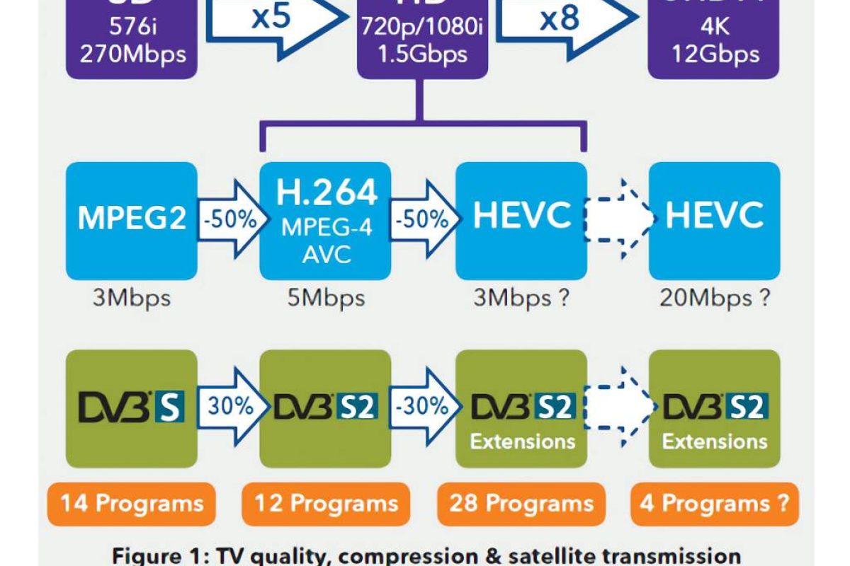98e94a3c3a80568002ba68eaf44ffd7e XL 09aaa0fa
