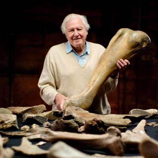 Η Nova εμπλουτίζει περαιτέρω το πλούσιο περιεχόμενό της