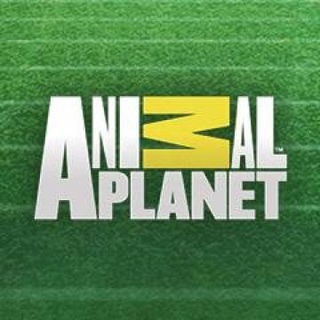 Ενδιαφέρον του OTE TV για νέα κανάλια