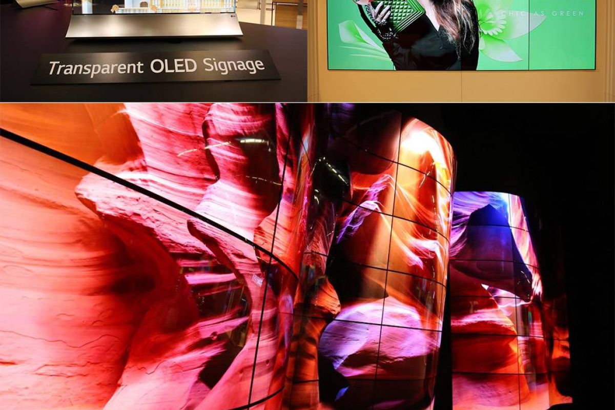 d1e2048b99d5b6a6298fe1b907e7c42b XL 0b36866f