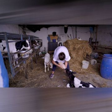 «Eίσοδος» στον κόσμο των Startups στην πρεμιέρα της σειράς ντοκιμαντέρ «Start-up Ελλάδα», στο COSMOTE HISTORY HD