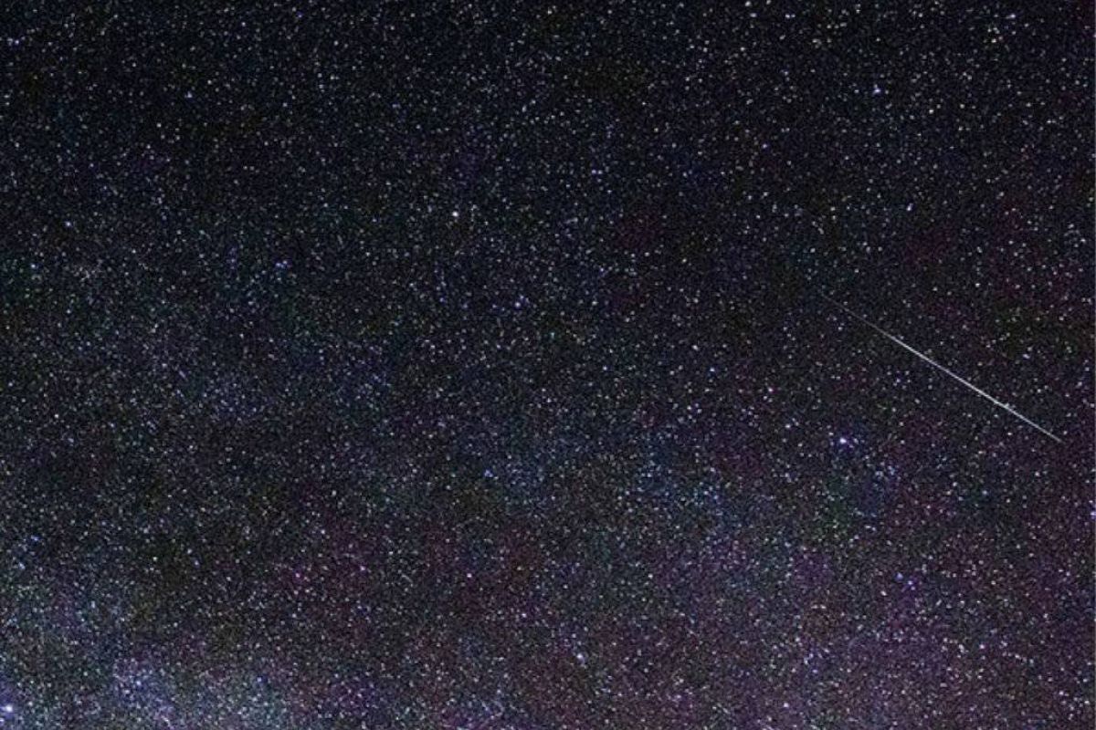 0d5785ec7174486aa1ff5c0587c9078b XL 0d7127e5