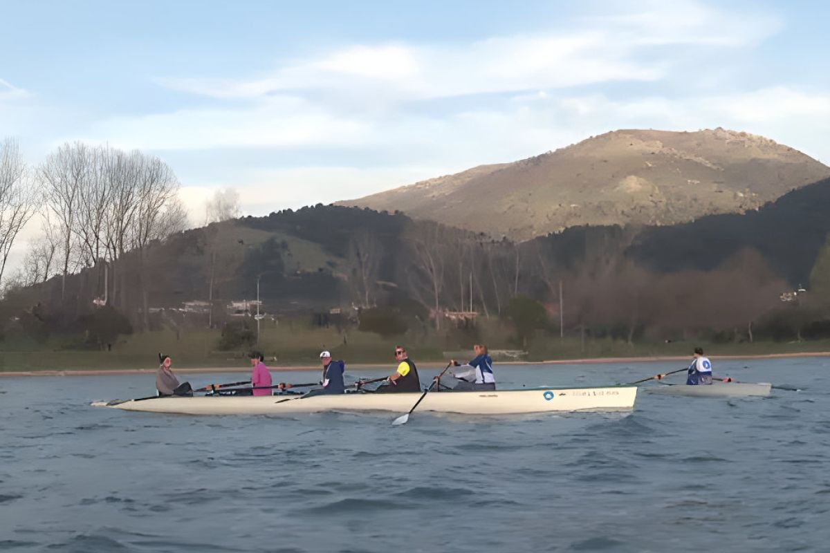 1024X1024 99 0d9c4861