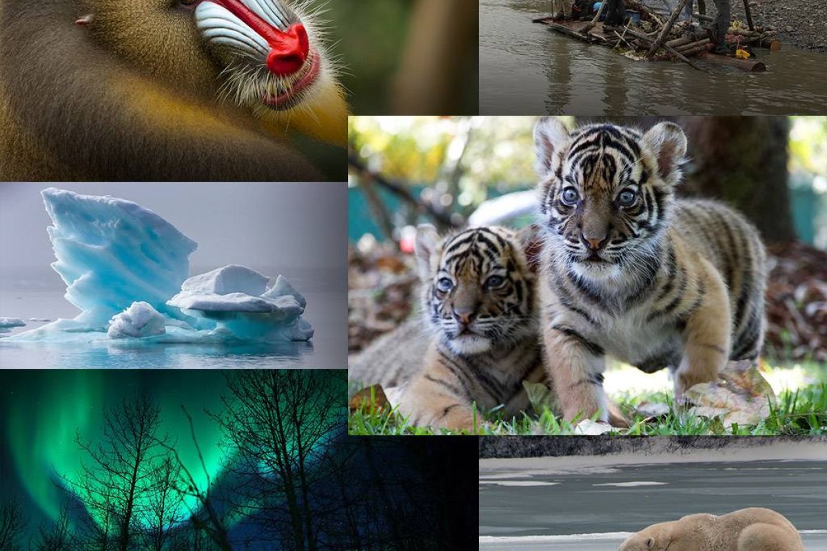 258271c201753c52faa175355de95079 XL 0e5ea14c