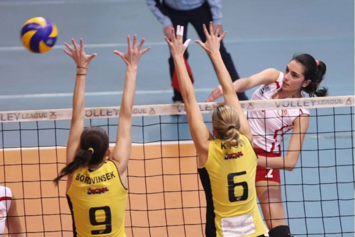 32a94b4f860c9ea010c2508169f36f36 XL 0e5aa5af