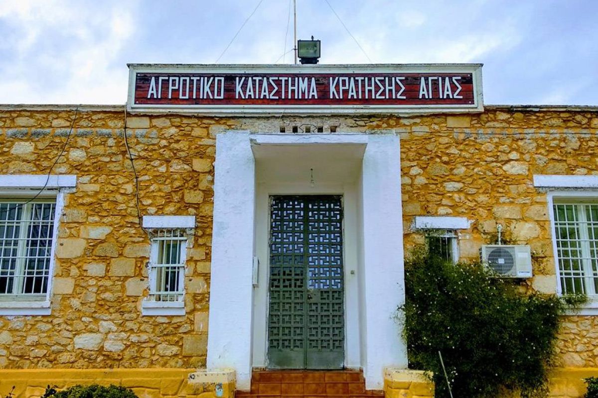 ac14eb5e080901c11a982f5692574446 XL 0ef14130