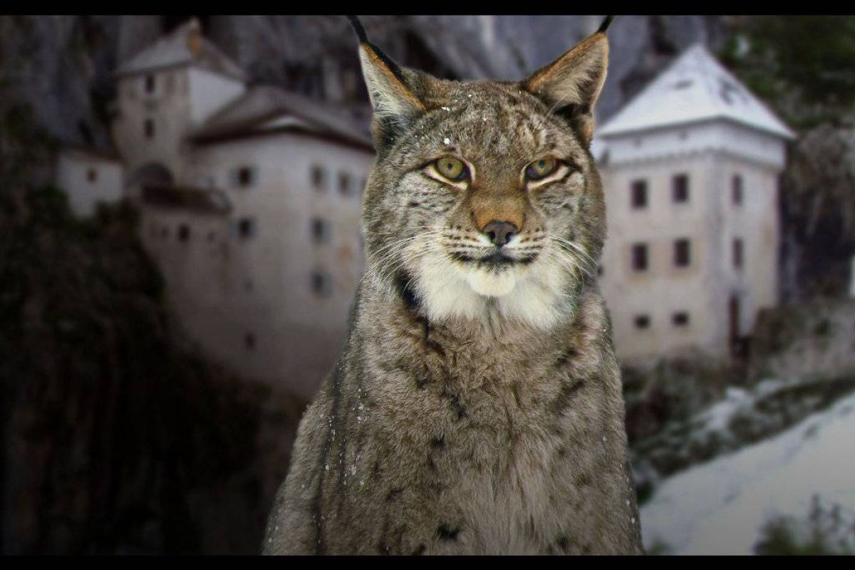 e6ee536230022ebfdf58d00df570b382 XL 0eabdc3e