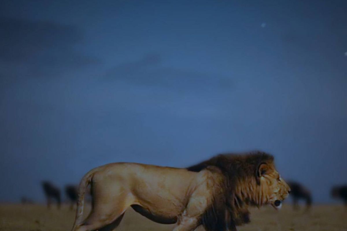 b0419afa48c1b55063b1796232f9c458 XL 0f47d7fd