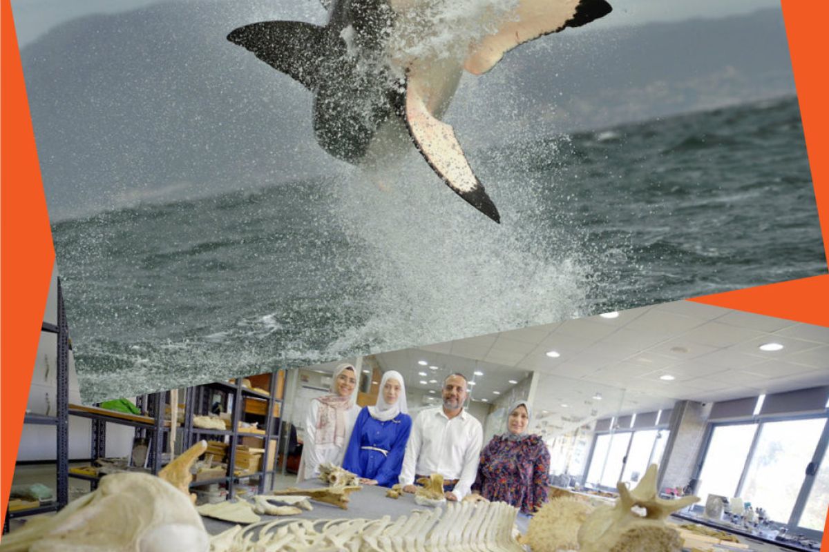 1024X1024 127 10abd110