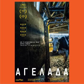 Αγελάδα – Από 3 Μαρτίου στους κινηματογράφους και σύντομα αποκλειστικά στο cinobo.com