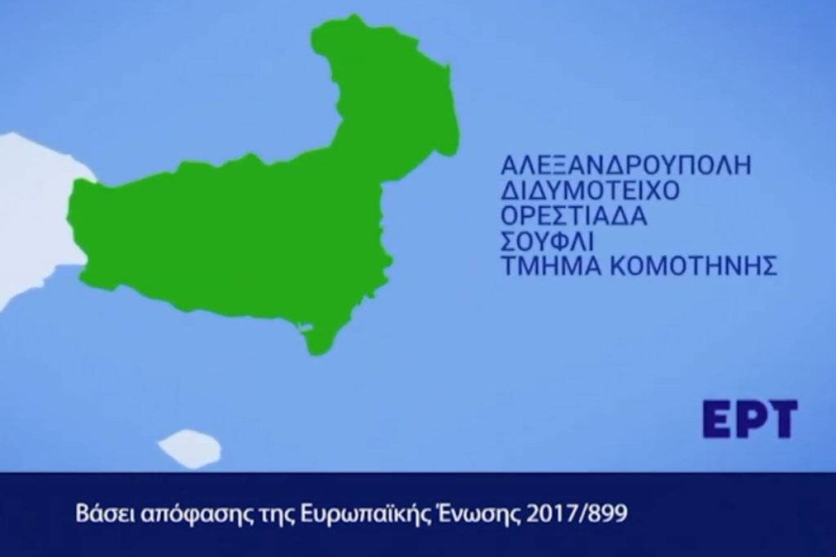 58f14916e1175b211485fb0588d03440 XL 10134237