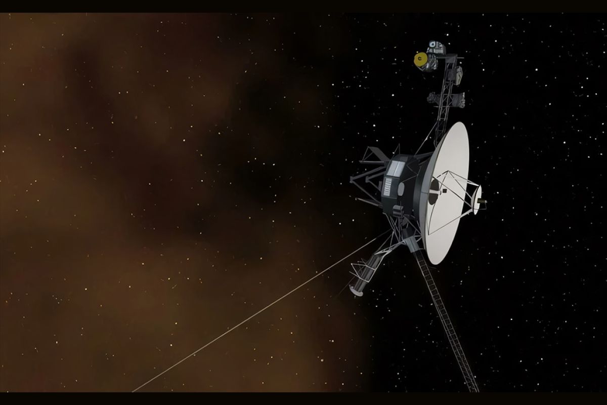 Untitled 1 123 1098a6f9