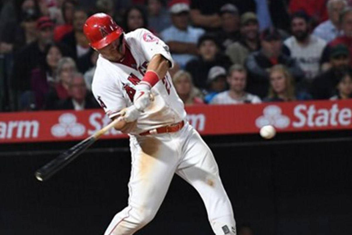 22e0ed2c61f5a0068272a3dacc6a2328 XL 1170c97f