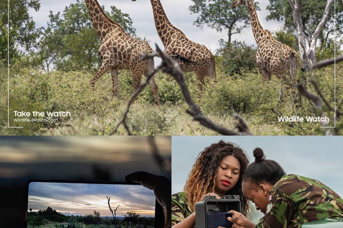 f58168317885c1854ee2f9c83df3dd82 XL 11661c3c