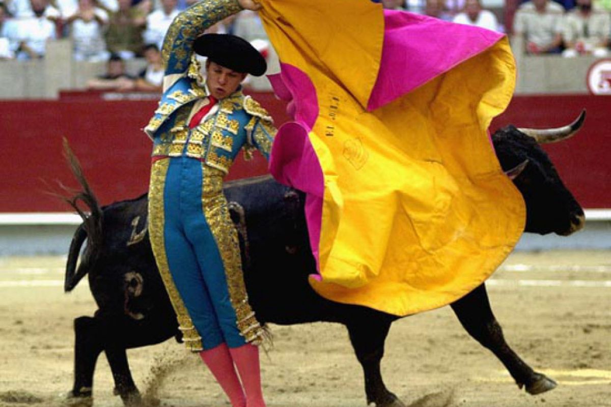 01cf0c4d41b5aae9c3a7be3f7ebec613 XL 1275a68e