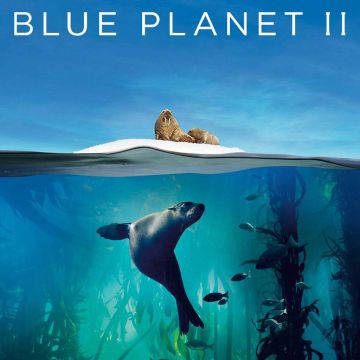 Το Blue Planet II σε UHD HDR στον iPlayer του BBC