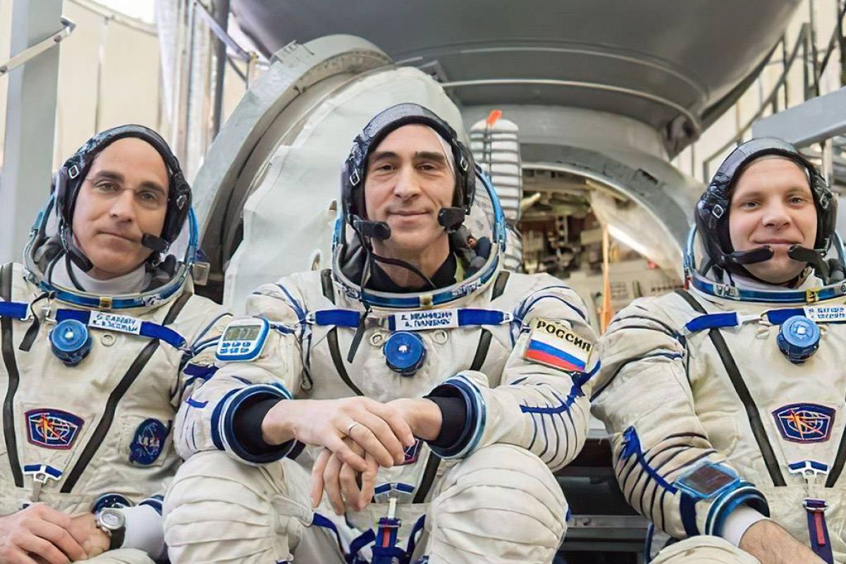 81847f09c6defa565c7ff821a70ce0f7 XL 1231a8f5