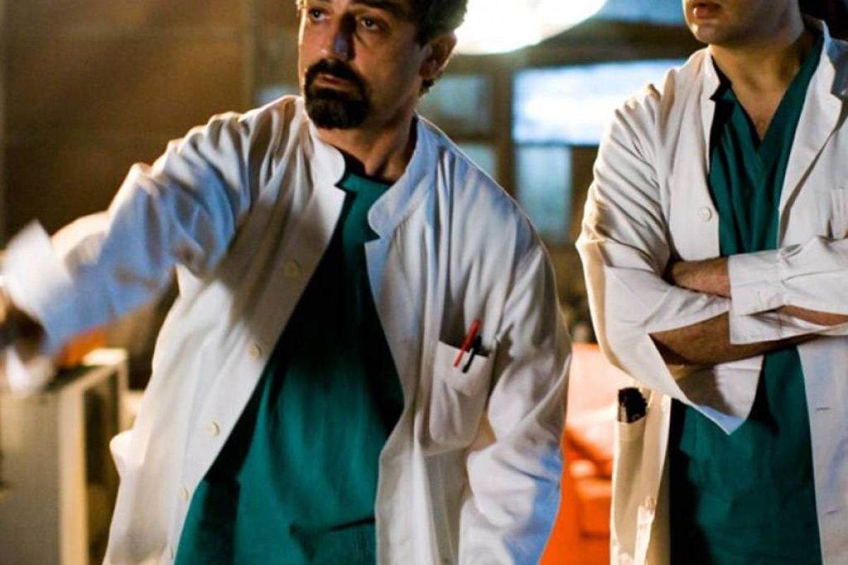 12045abe1a1d7dd1f537ffc97a9ce9a2 XL 13795343