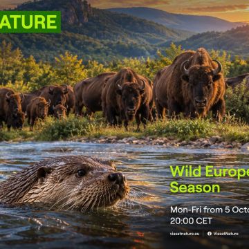 Αφιέρωμα στην άγρια Ευρώπη στο VIASAT NATURE