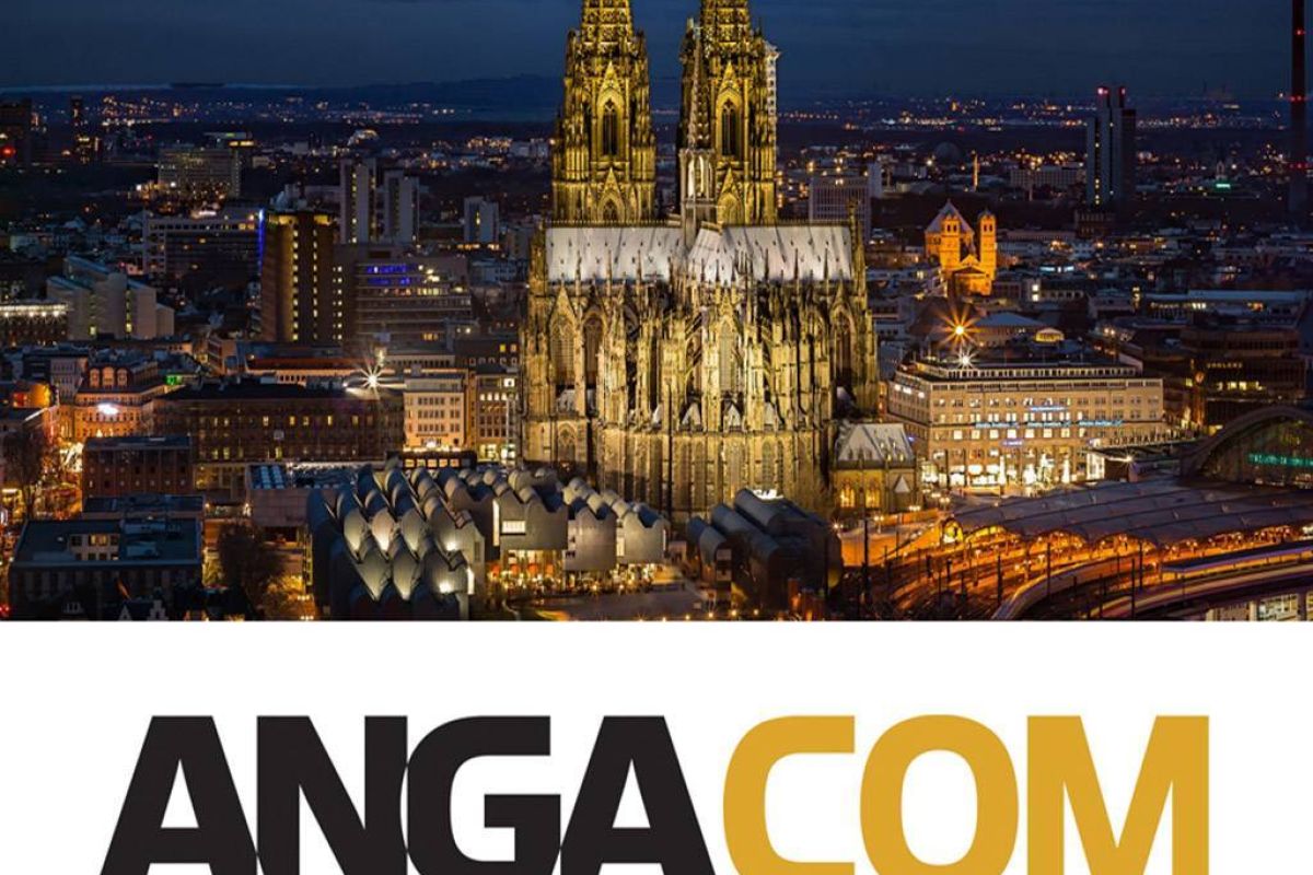 deab9509c467de69957bc568257ba878 XL 13ccfefc