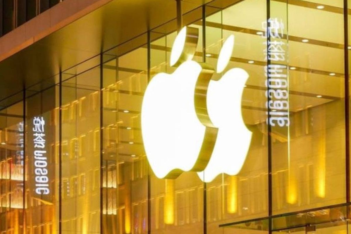 18d28aa1a6d1a8f830e39915e91dffa0 XL 15d26ccc