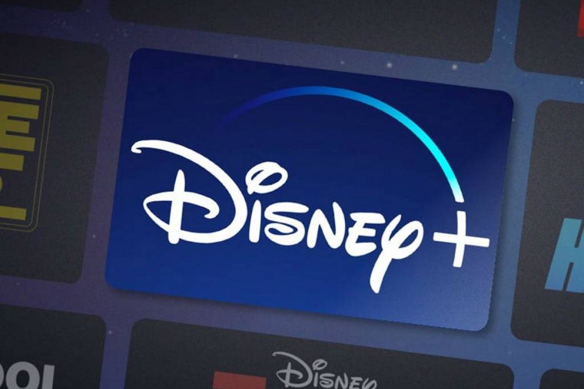 2c1370609f1db866006ccaaeebc03e55 XL 1528826b