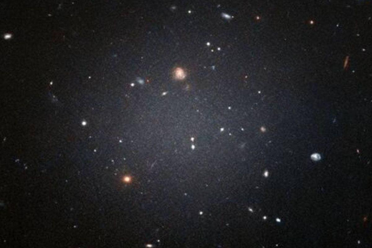 80440119a3d708592603dc4c4013a71e XL 15698927