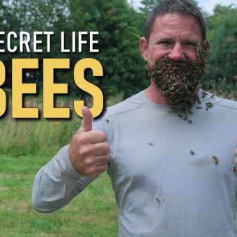 Viasat Nature The Secret Life of Bees with Steve Backshall Title Card copy 15f2951c