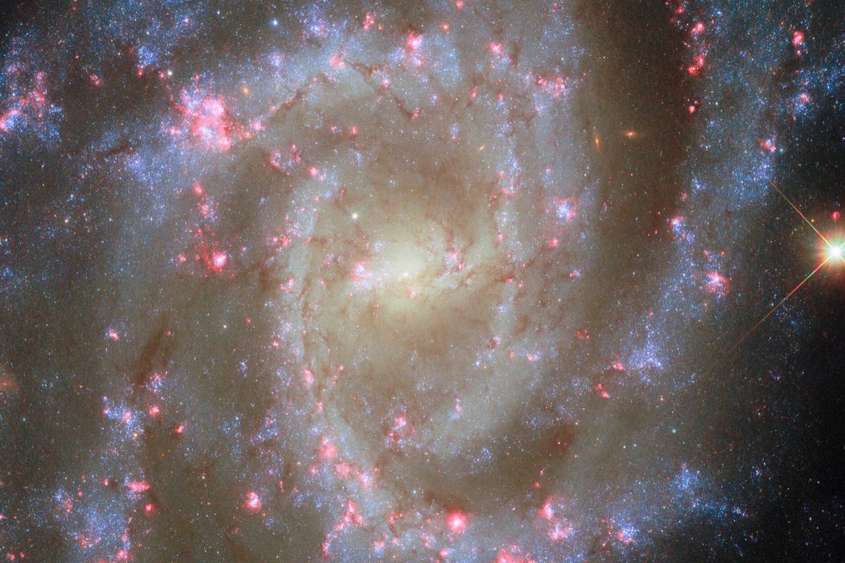 nefelomaroz 1 159b5a79