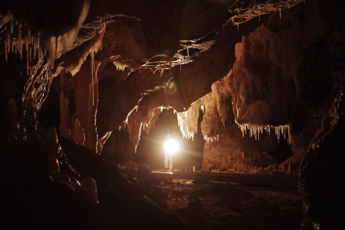 Viasat History CHAUVET 6 cfrancetv studio 162b9b17